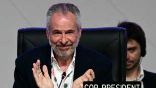 En Amazonie, le monde se contente d'une preuve de vie de la coopération climatique