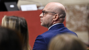 Fontana, fare luce sul terrorismo, il Parlamento c'è