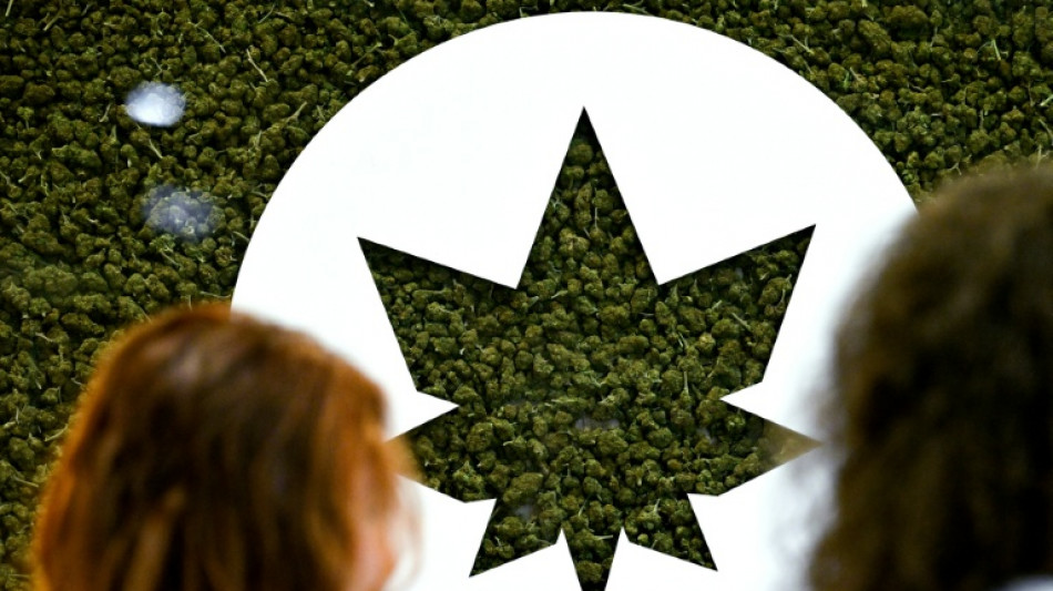 Les "bad trips" au CBD trafiqué inquiètent les autorités