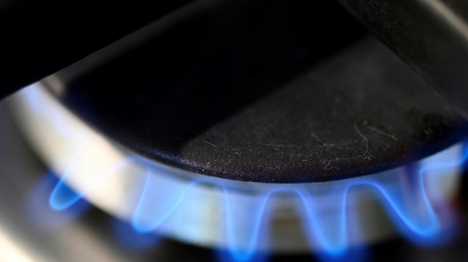 Trading Hub Europe gibt Höhe der Gasumlage bekannt