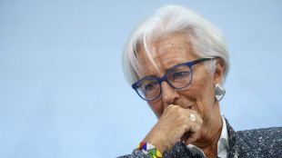 Lagarde, più rinnovabili unica via per sicurezza energetica Ue