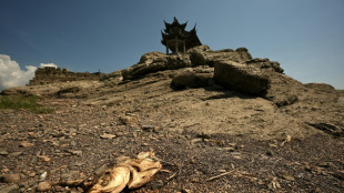 La canicule en Chine, "grave menace" pour les récoltes