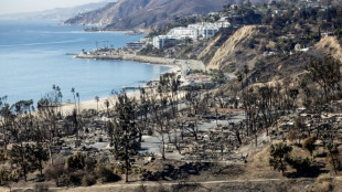 Detienen a hombre por letal incendio en Los Ángeles en enero