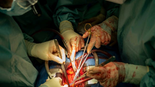 Bundesinstitut: Bislang rund 330.000 Menschen in Organspenderegister verzeichnet