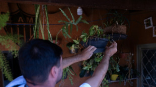 Brasil aprueba la primera vacuna de dosis única contra el dengue