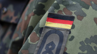 Heeresinspekteur Freuding fordert mehr Kampfverbände