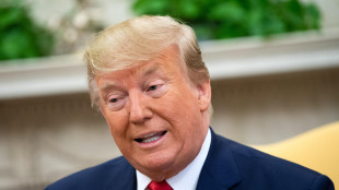 Email Epstein, 'Trump ore a casa mia con una ragazza'