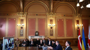 Ukraine-Unterstützer beraten in Videokonferenz über Friedensprozess