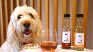 Purrno Noir? New Zealand company sells non-alcoholic wine for pets
