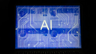 Otra vía es posible para la IA, afirma la periodista Karen Hao