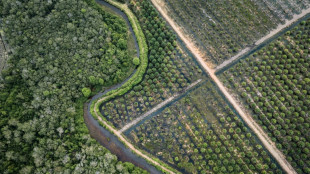 EU states back new delay to anti-deforestation rules