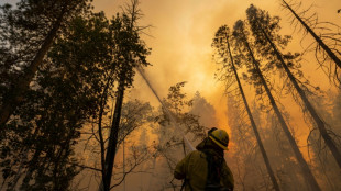 Thousands evacuated as California wildfire grows
