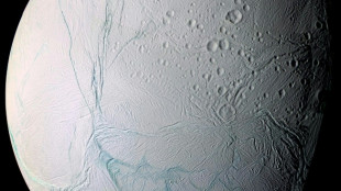 Des éléments clés pour la vie découverts sur une lune de Saturne