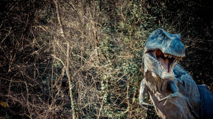 I dinosauri prosperarono fino alla fine, nessun lento declino