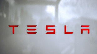 Tesla launches long-discussed robotaxi service