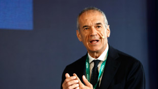 Cottarelli, 'priorità reti stradali e ferroviarie, non il ponte'