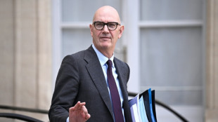 França investigará plataformas de comércio após escândalo de bonecas sexuais