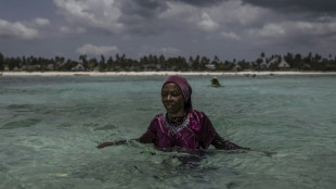 A Zanzibar, l'élevage d'éponges de mer offre une bouée de sauvetage aux femmes