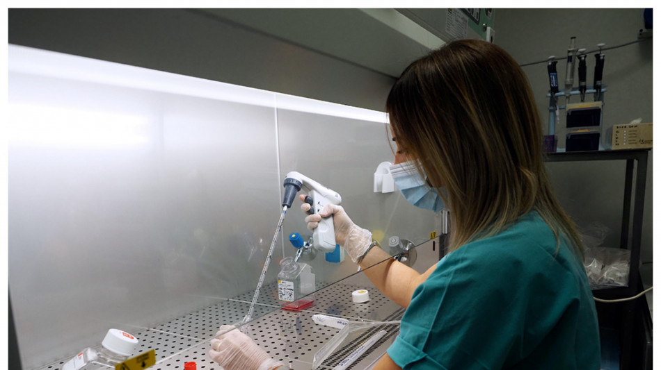 Due nemici invisibili per i soldati di Napoleone in Russia