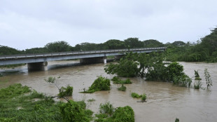 New danger for hurricane-hit Jamaica: wandering crocodiles