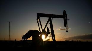 Opep+ aumentará levemente sua produção de petróleo a partir de novembro