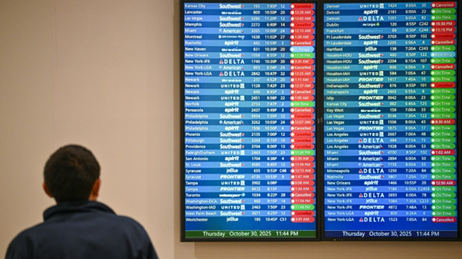 US-Haushaltssperre: Mehr als 800 Inlandsflüge gestrichen