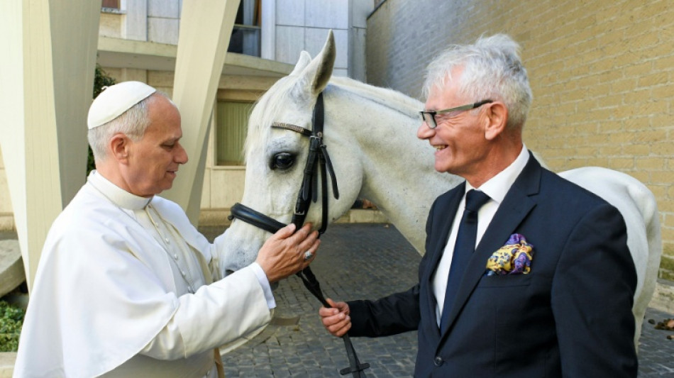 El papa León XVI recibe como regalo un caballo purasangre árabe