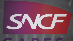 10 septembre: trafic perturbé sur de nombreuses lignes ferroviaires en Ile-de-France