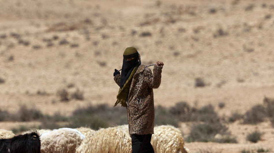 Idf conferma raid Rafah 'dopo missile anticarro su truppe'