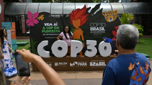 PF revela irregularidades na segurança privada da COP30