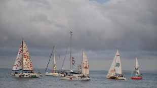Attivisti, italiani della flottiglia in viaggio per Cisgiordania