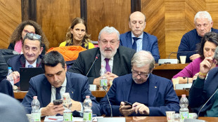 Emiliano, 'governo assicuri gestione e riqualificazione ex Ilva'