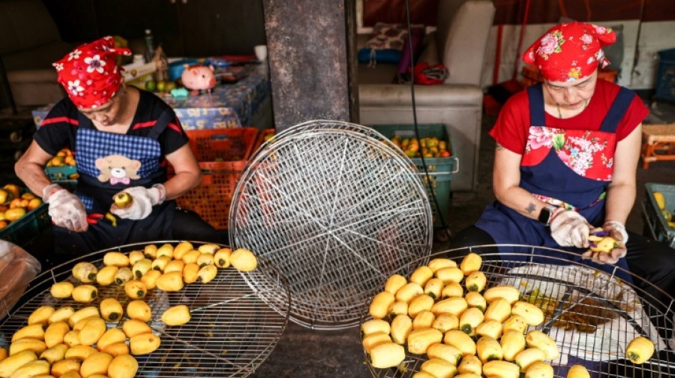 Blooming hard: Taiwan's persimmon growers struggle