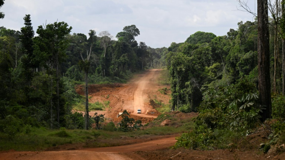 Guyana: une route au milieu de nulle part pour développer le pays