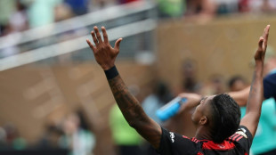 Mondial des clubs: Flamengo terrasse les Blues