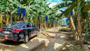 Panamá espera fechar acordo para volta de empresa bananeira dos EUA