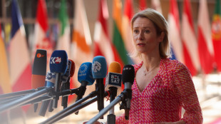 Kallas, 'pressione su Israele, sì a revisione accordo Ue'
