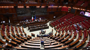 Sostegno a piano Usa per Gaza, ok dalla Camera con 182 sì