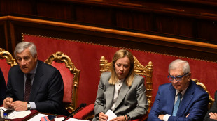 Meloni, la penso come i romani, 'si vis pacem, para bellum'